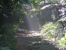 SINHARAJA WORLD HERITAGE SITE