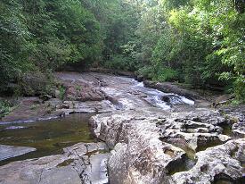 KITULGALA – KELANI VALLEY FOREST RESERVE