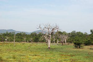 WASGAMUWA NATIONAL PARK