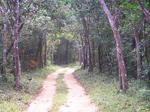 WILPATTU NATIONAL PARK