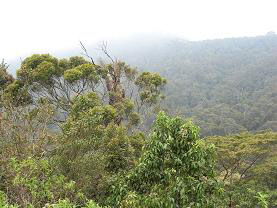 PEAK WILDERNESS SANCTUARY