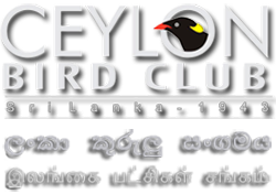 Ceylon Bird Club