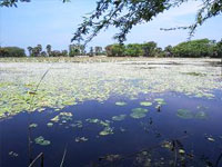 Vankalai tank- Kithsiri Gunawardena