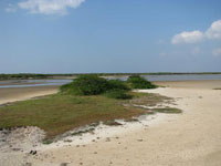 Vidattaltivu lagoon